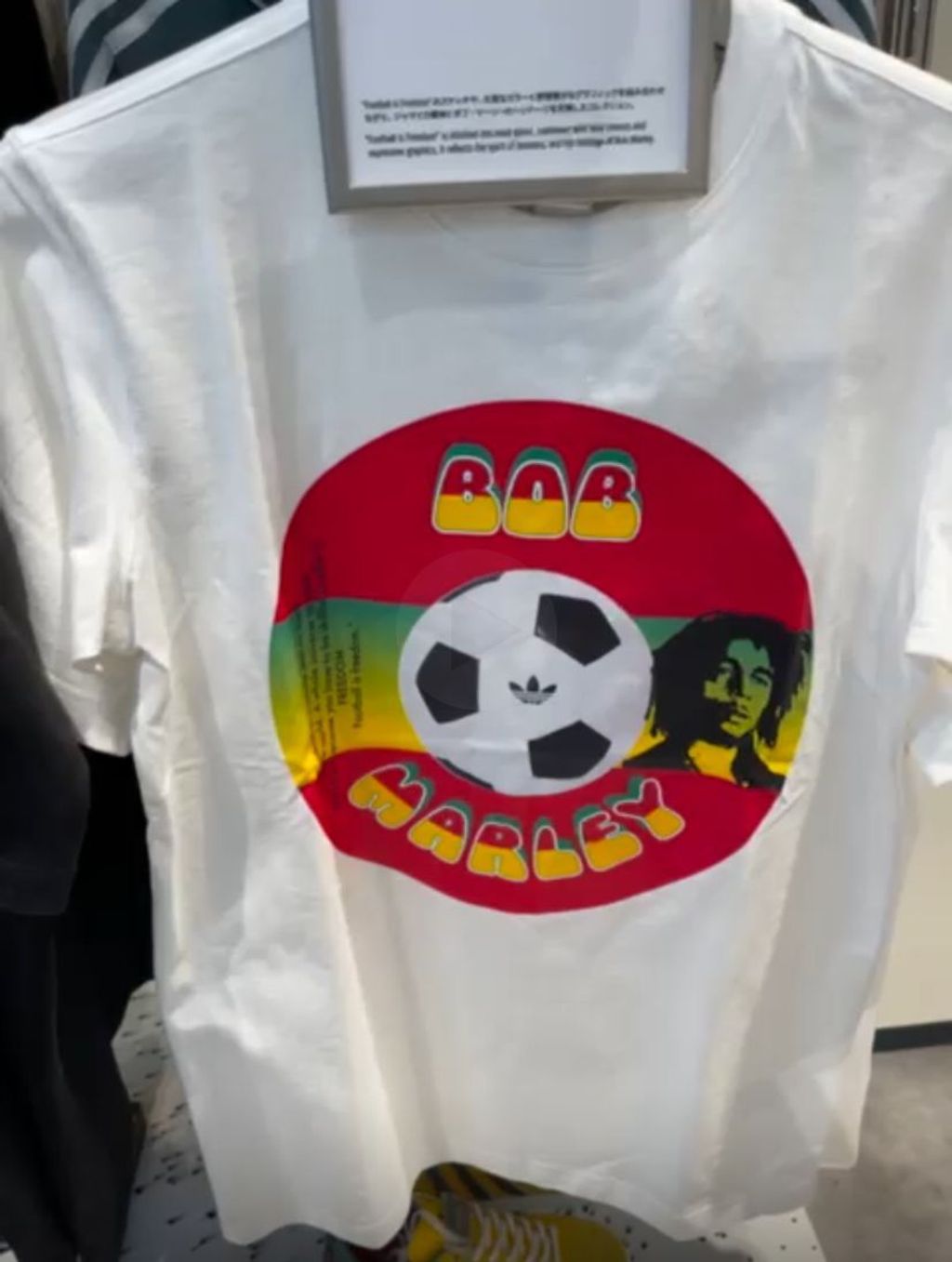 WhatsApp Image 2026-03-13 at 14.21.10