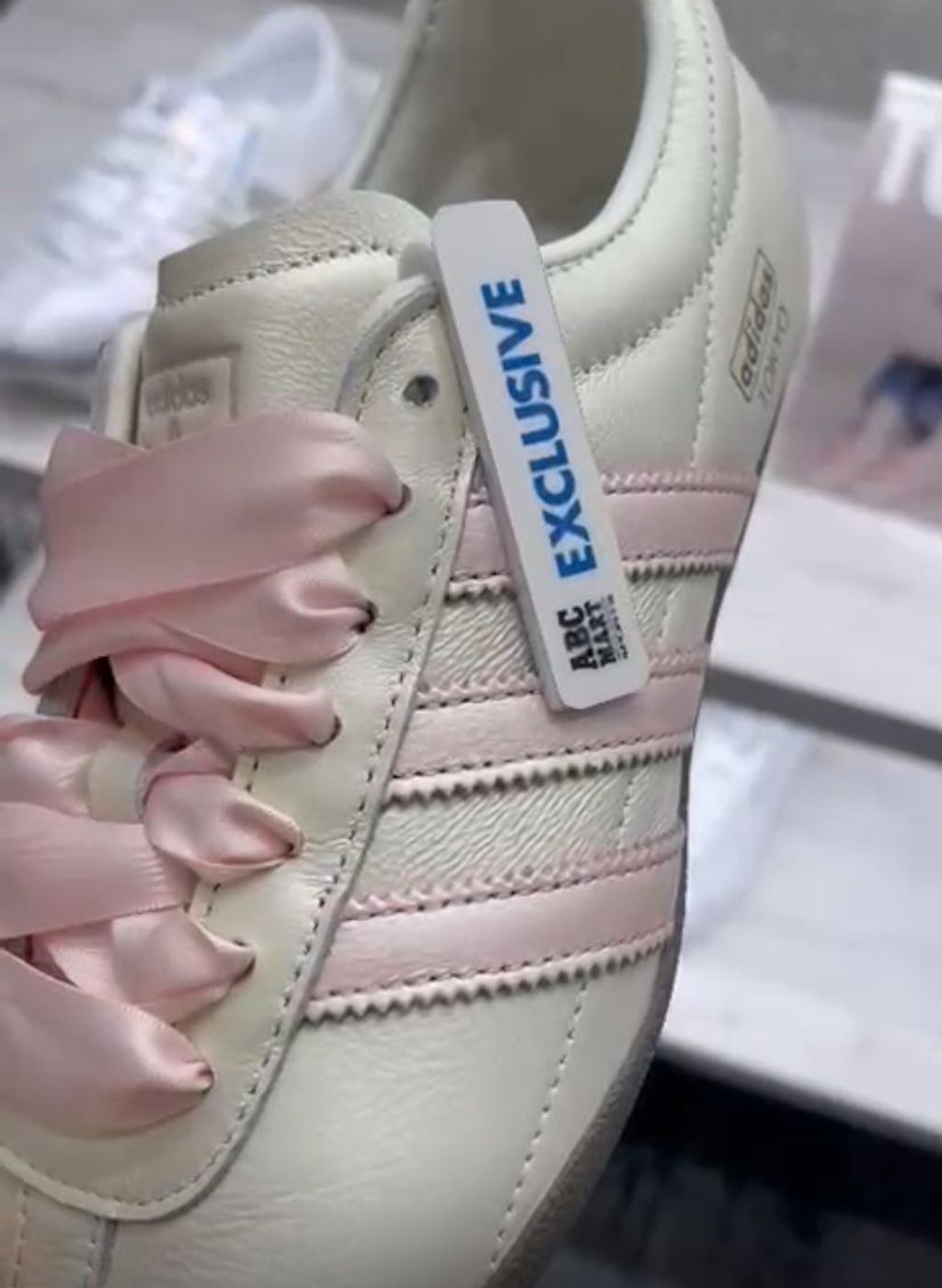 WhatsApp Image 2026-03-13 at 15.13.58 (1)