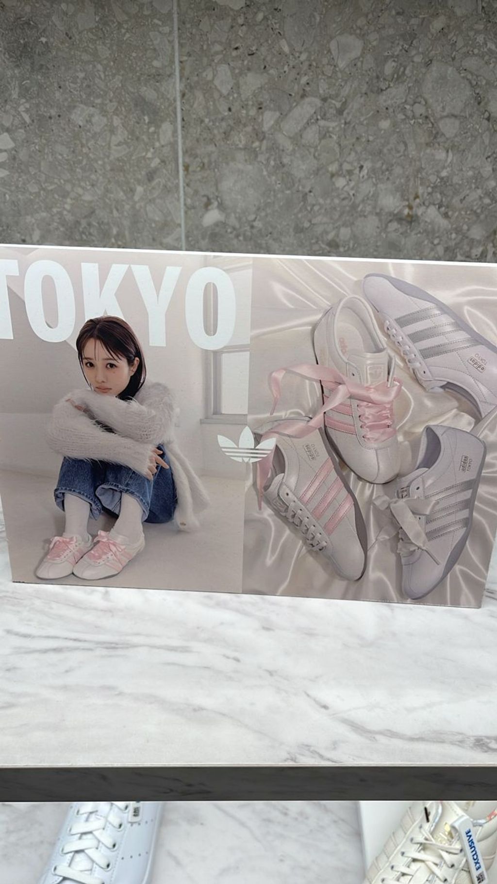 WhatsApp Image 2026-03-13 at 15.11.39