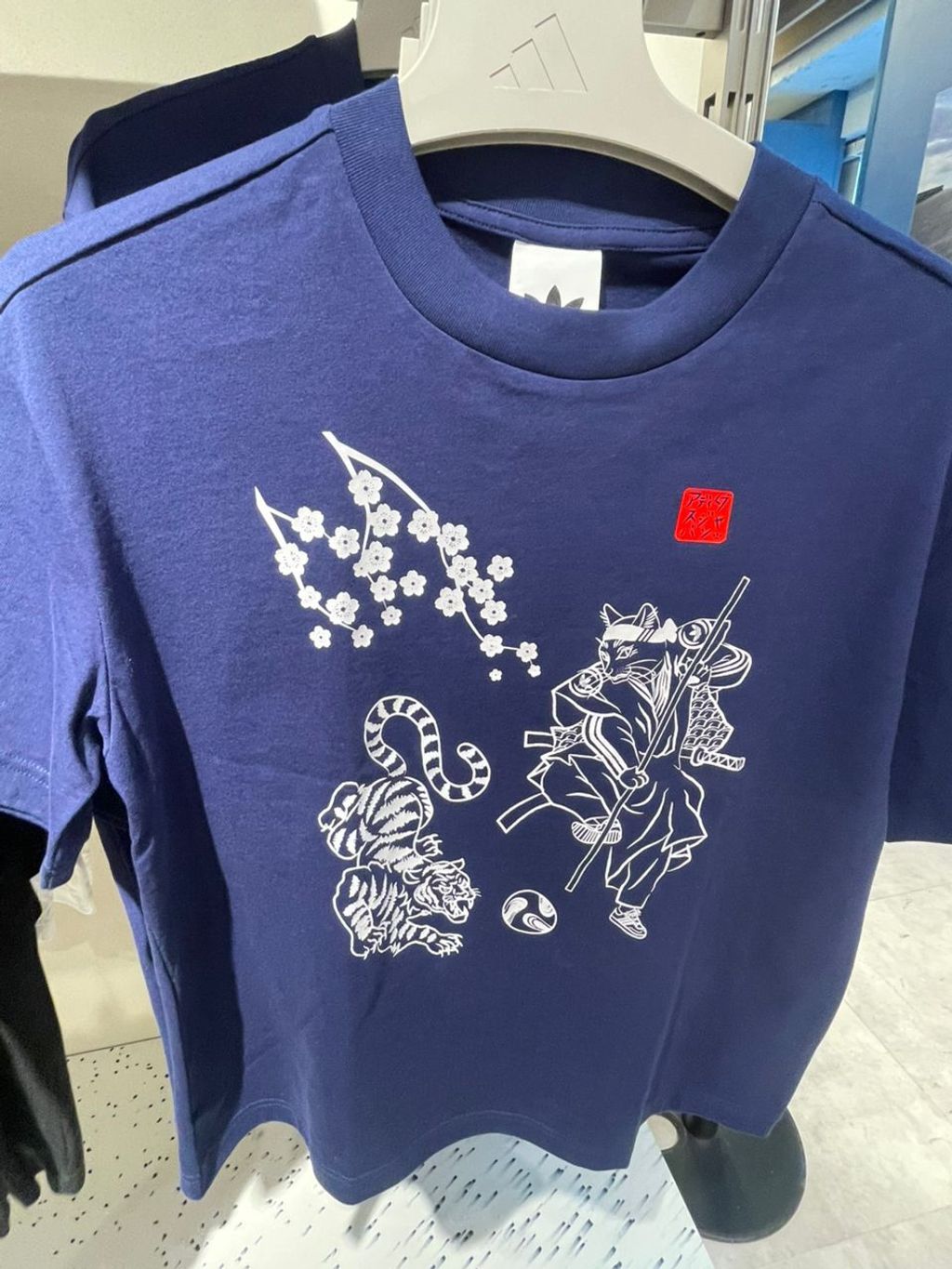 WhatsApp Image 2026-03-13 at 13.54.24