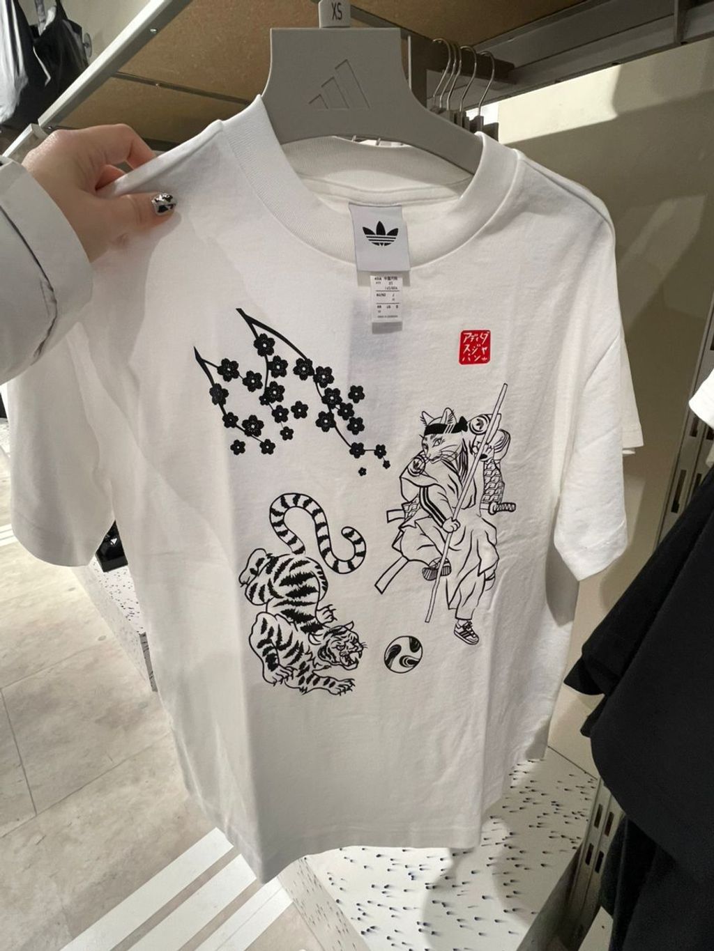 WhatsApp Image 2026-03-13 at 13.54.24 (1)