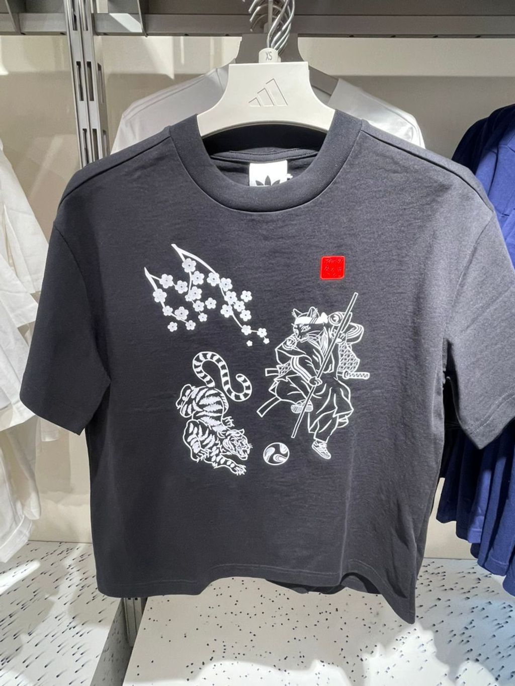 WhatsApp Image 2026-03-13 at 13.54.22