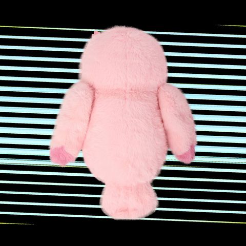 photo_6170291416806920092_w