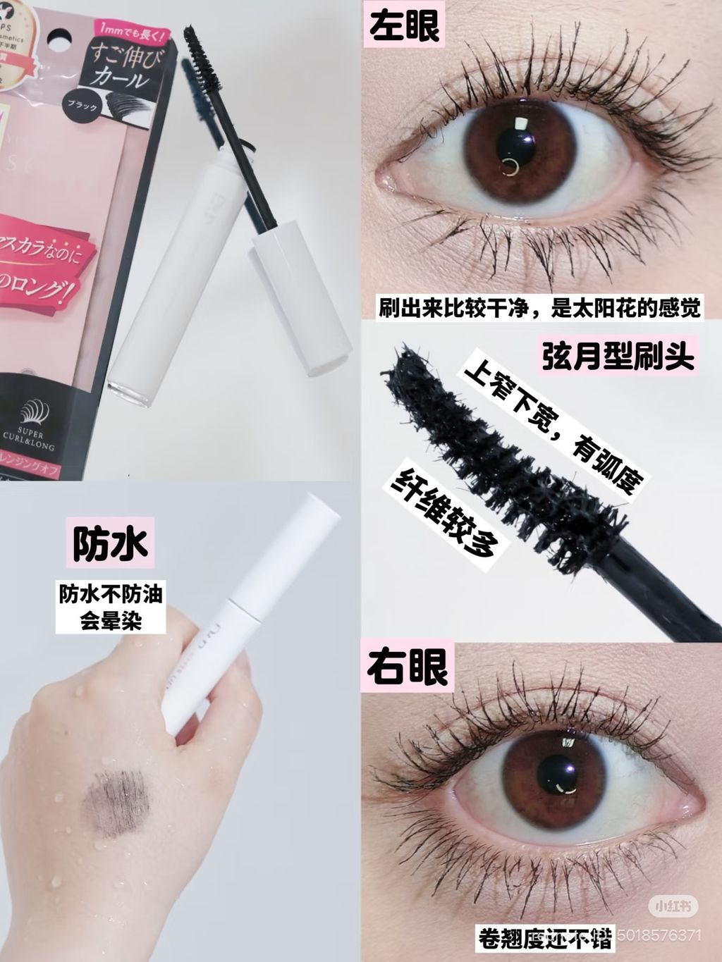 image_74A9A35C-0544-482E-A595-532202D56A2F_1774416300