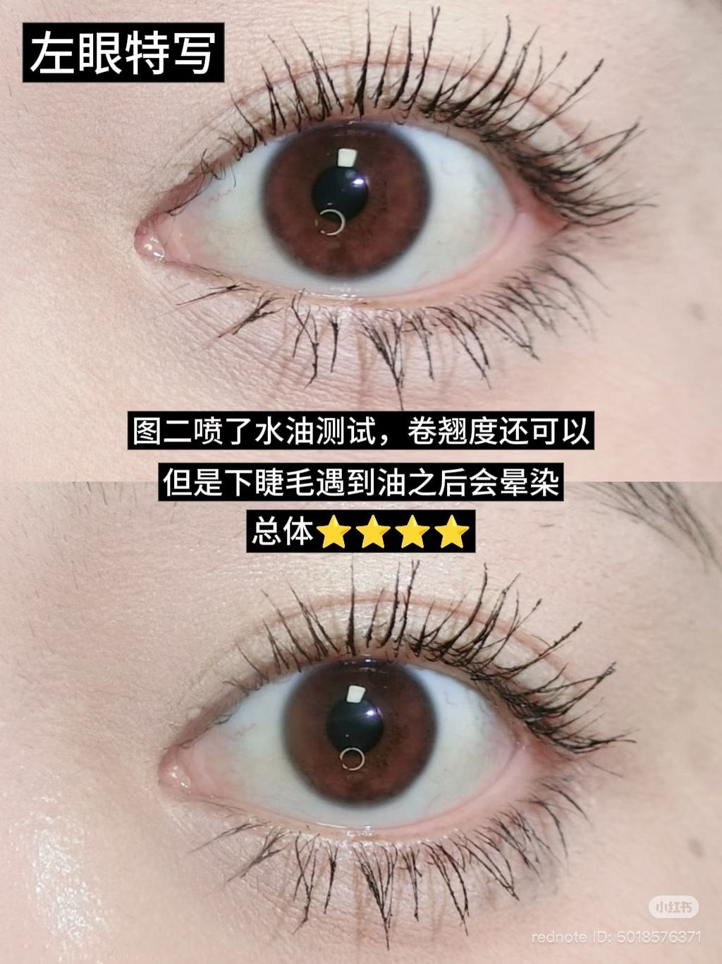 image_91C3F74D-5EF9-4871-B11A-97403277E054_1774416300