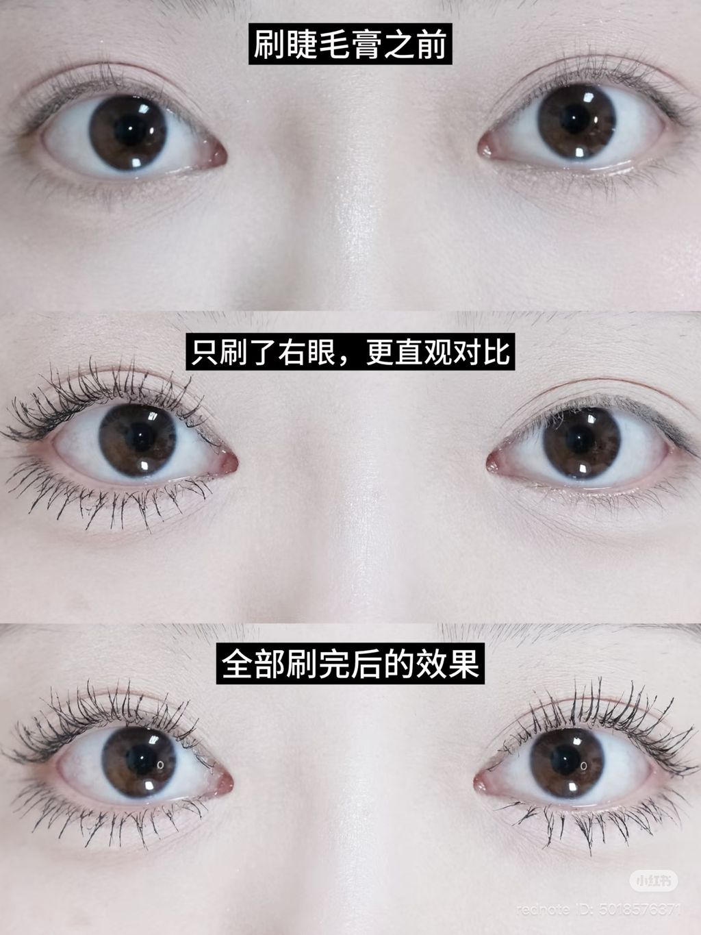 image_E399D030-4316-4F00-B097-B5103600BA2F_1774416300