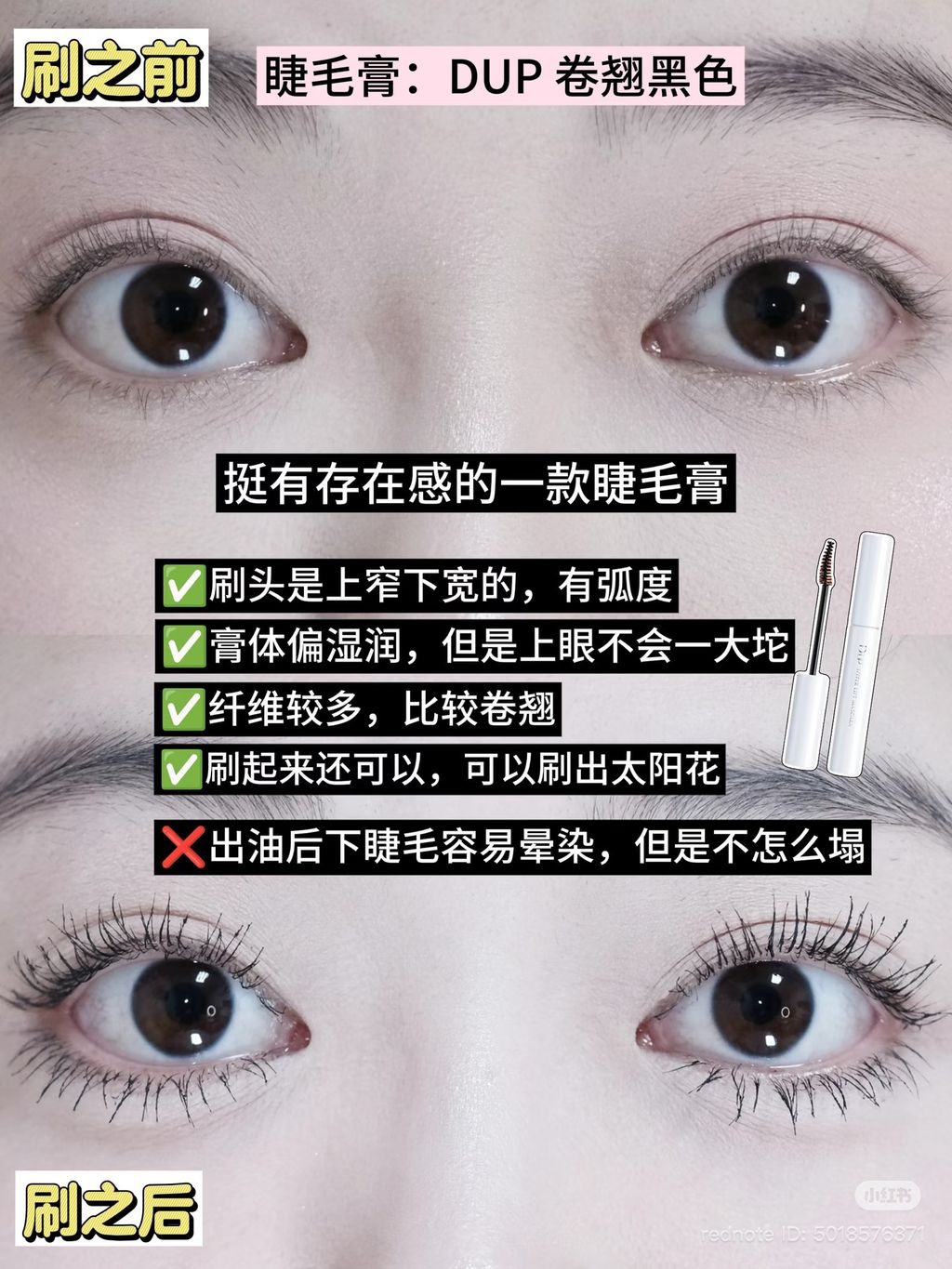 image_85E24284-8724-499B-987E-1DA38A7CE8BF_1774416300