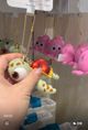 Squirt