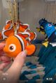 Nemo