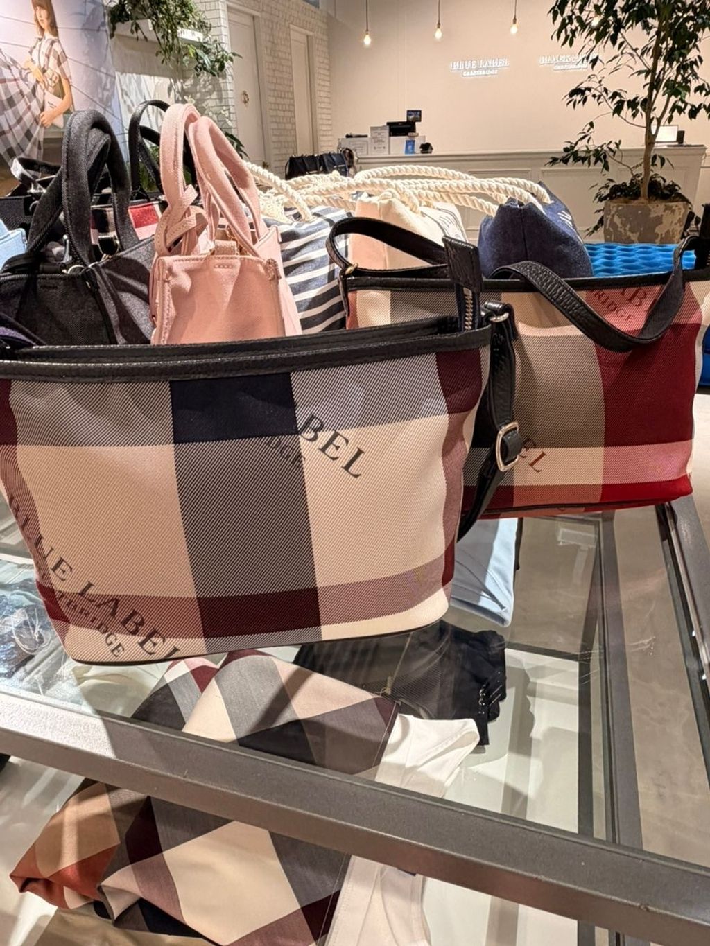 image_F855DA49-ED51-4148-B4D1-33E5EAE69A99_1781855848