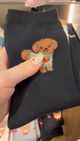 黑色泰迪