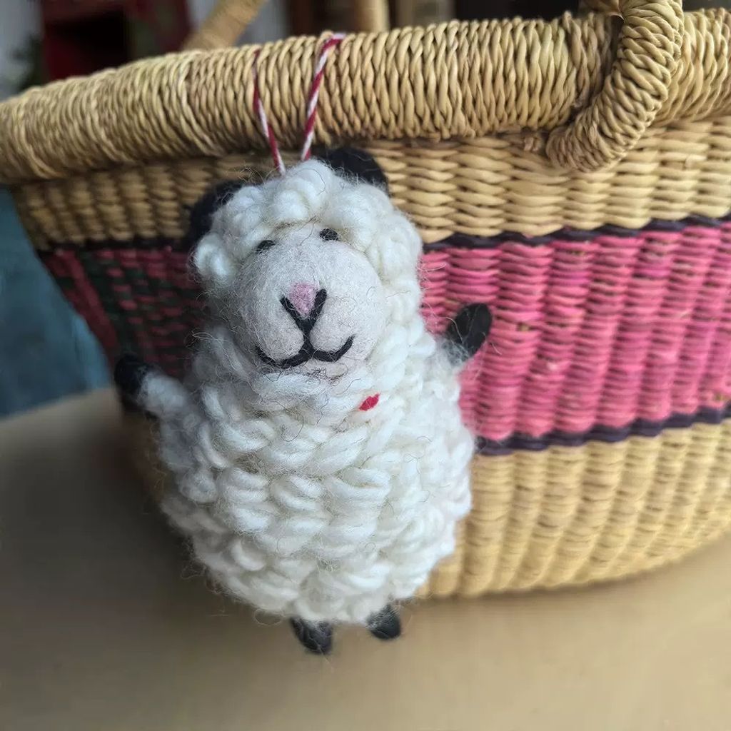 image_434E4289-7F2D-470F-9225-E8328962C46D_1761920881