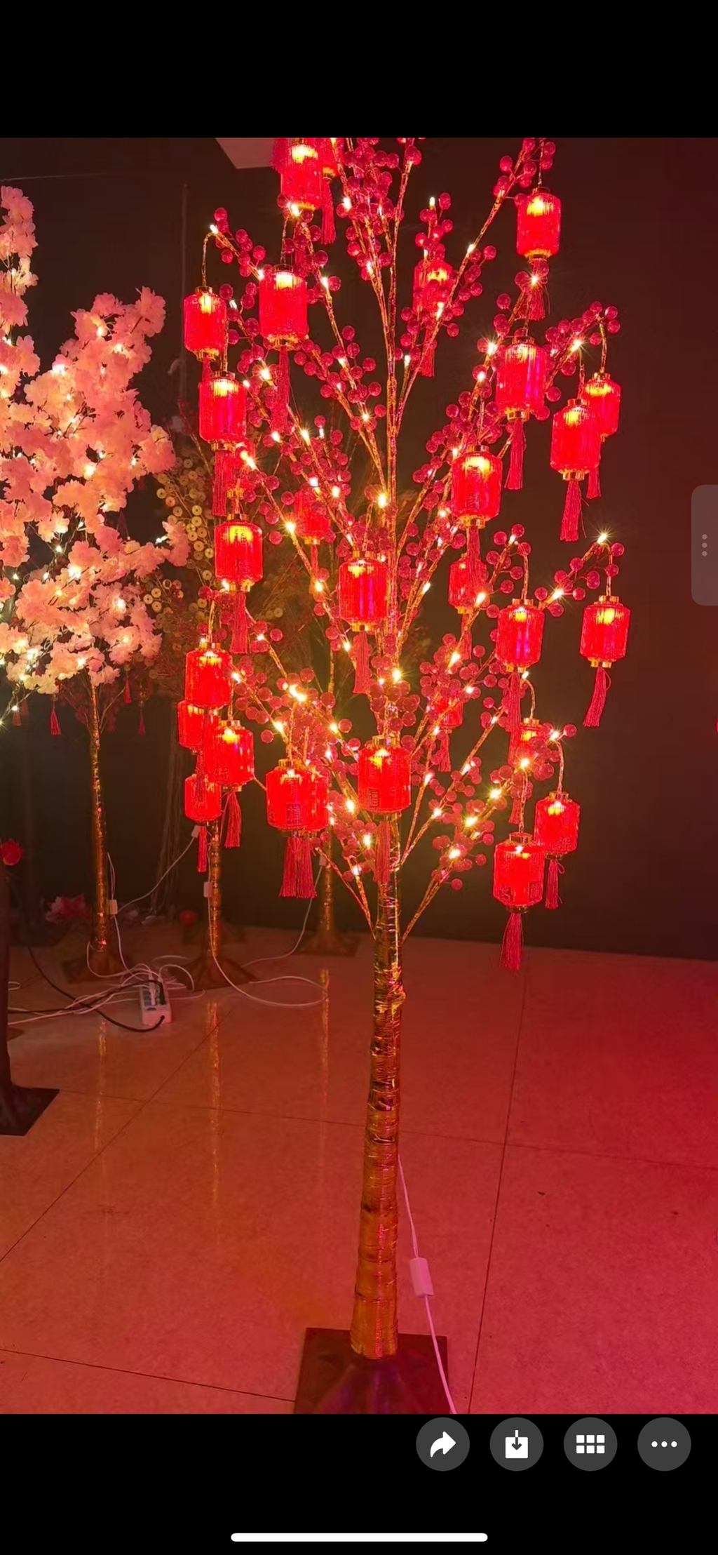 image_67E779B2-0094-415A-A671-804AFFB42D54_1762146887