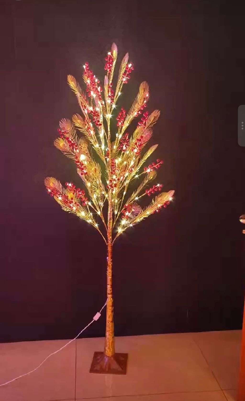 image_42B55E6B-5DFA-400C-848E-5959E04ED93C_1762146887