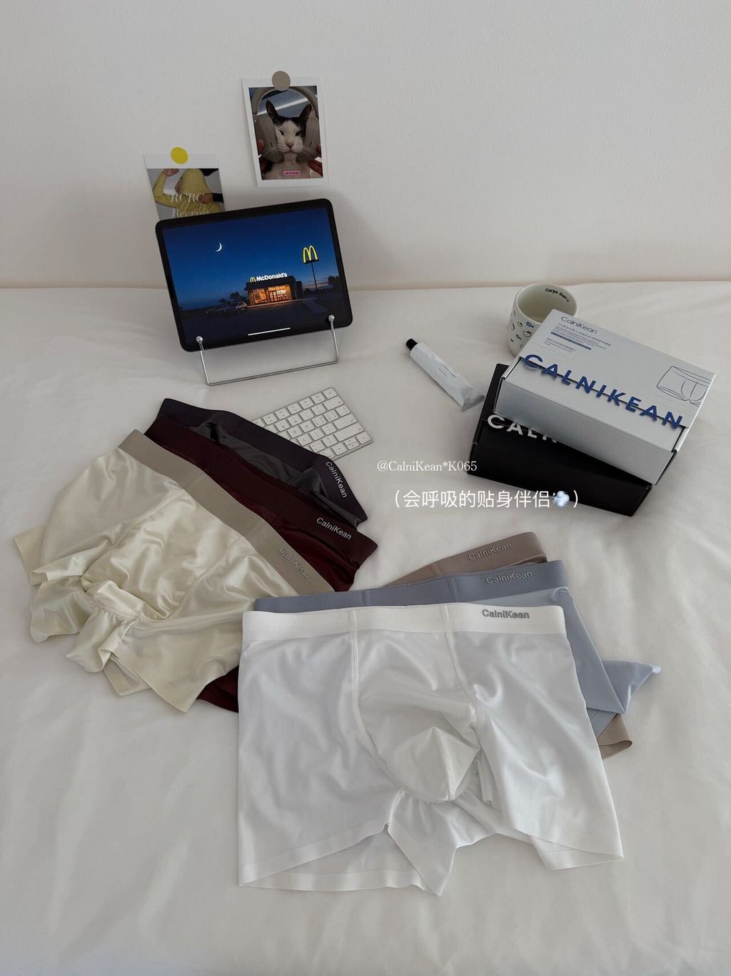 image_4CCC475F-58D6-4E00-9879-01126B0F6DE2_1762867482