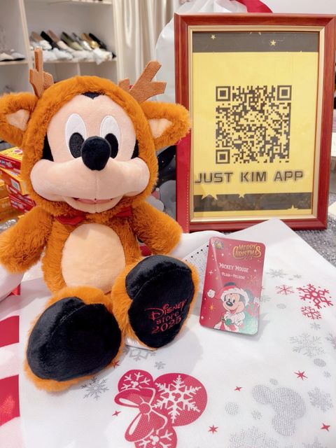 image_69B22D82-82C5-415A-A6E5-8A78098D73AD_1763463128