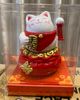 fortune cat 