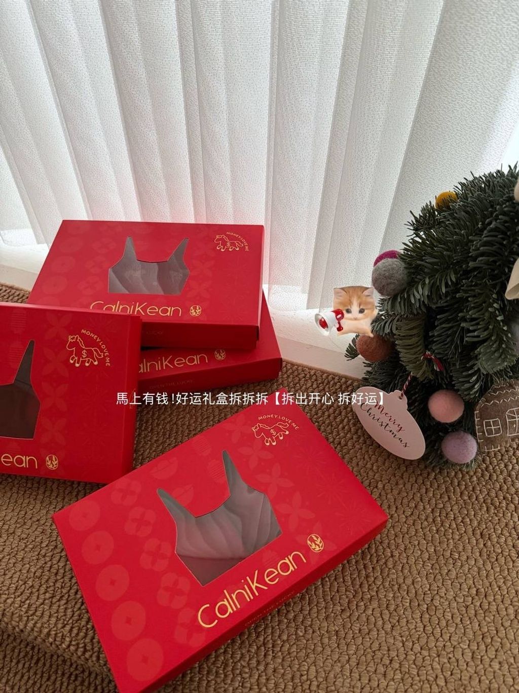 image_A0A849C5-888B-4554-B31C-B67A1E54A9EE_1767752490