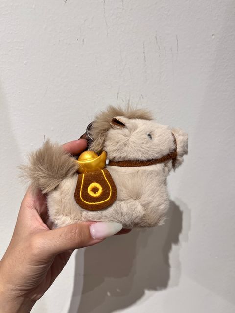 image_A69B33A4-5B83-4314-9257-9C85C4249B60_1768112679