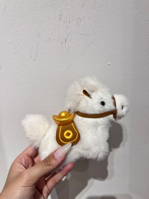 image_DA294FD0-4034-4BAE-9B63-2B067C447ECD_1768112679