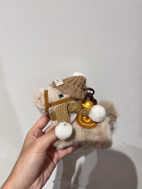 image_525678BE-027A-4D72-8F0C-89ADFF2B97F7_1768112919