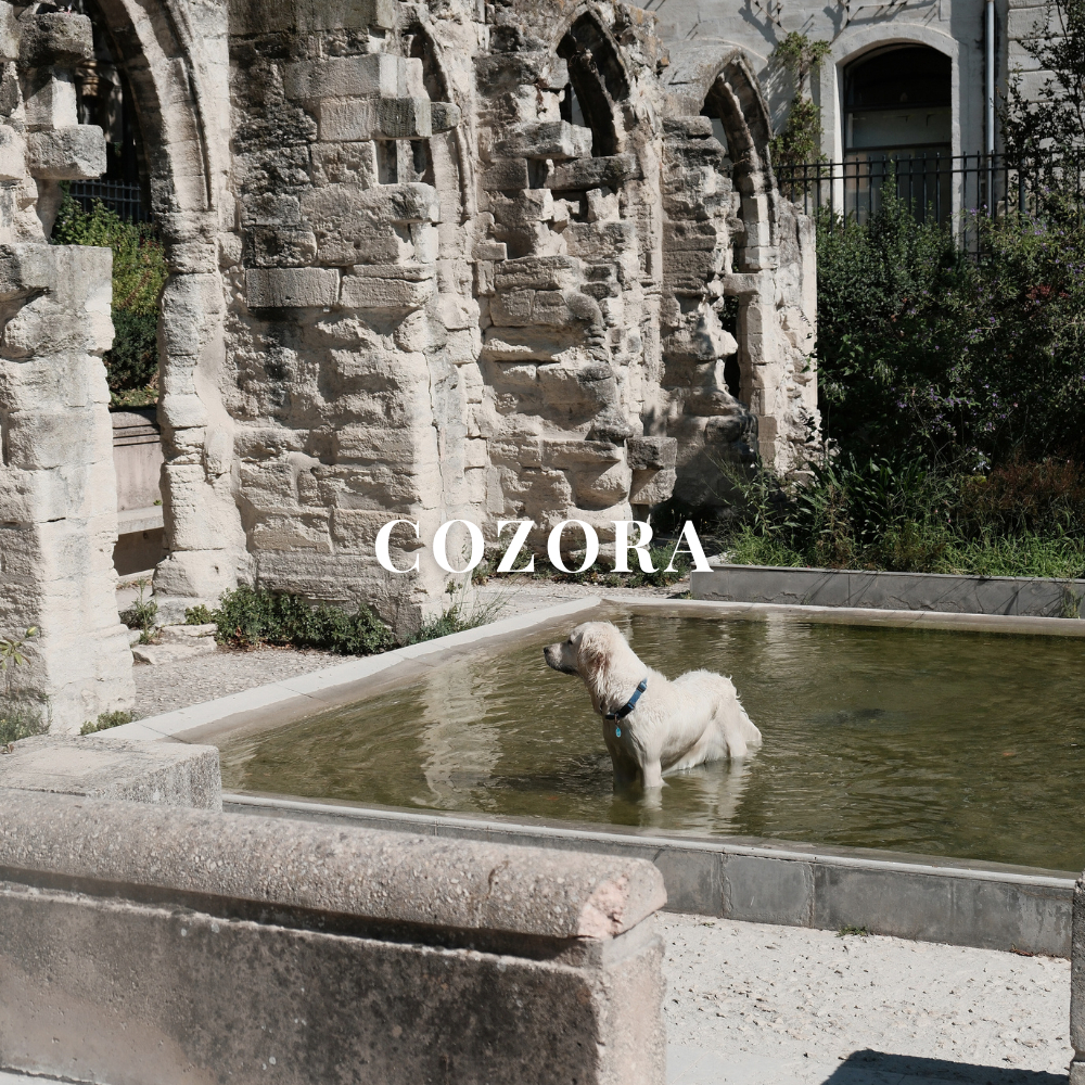 tw-11134207-81zte-mdzmt02rhl3916