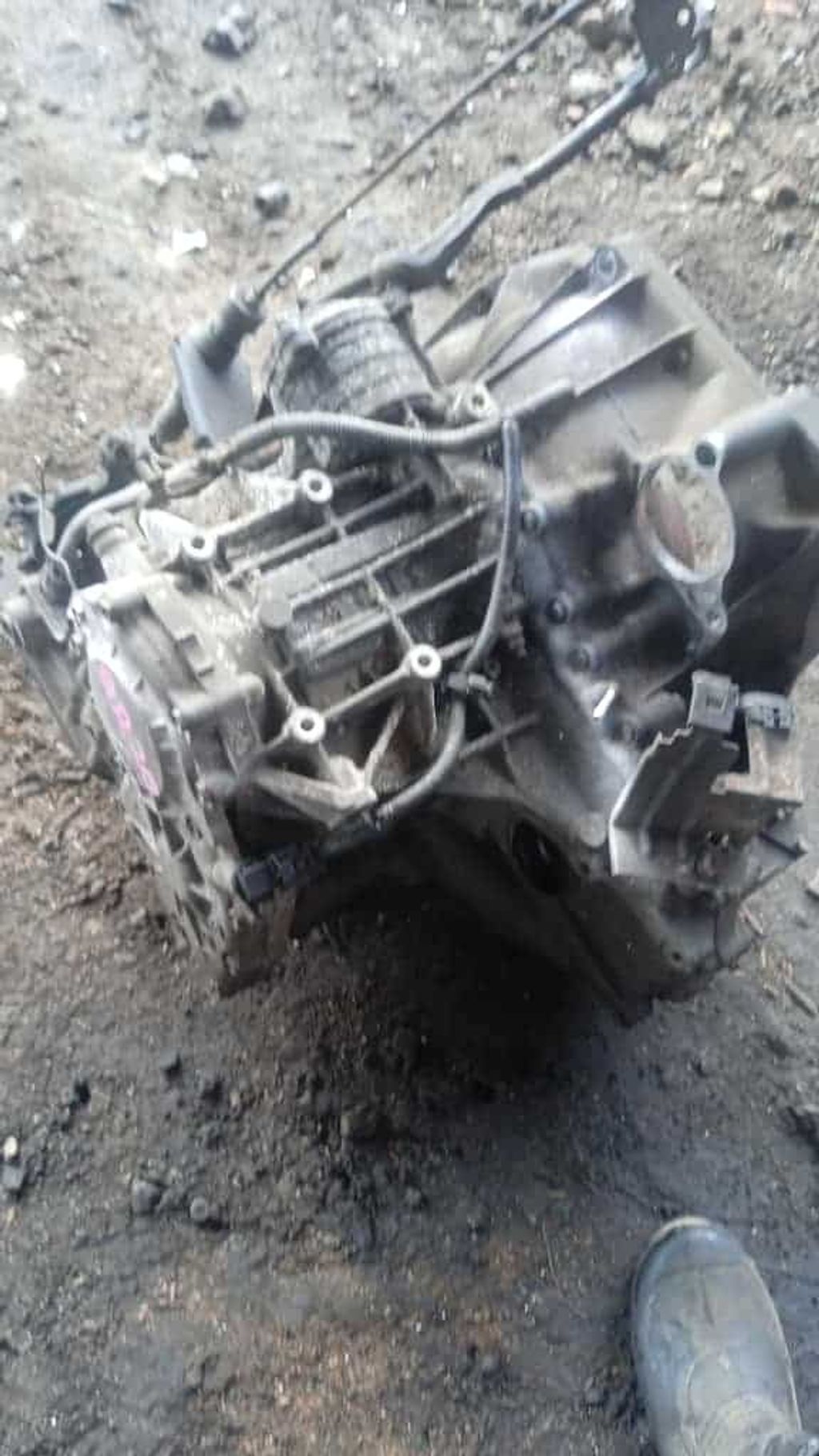 d56e0462-15c3-4951-8f57-2c32190532df