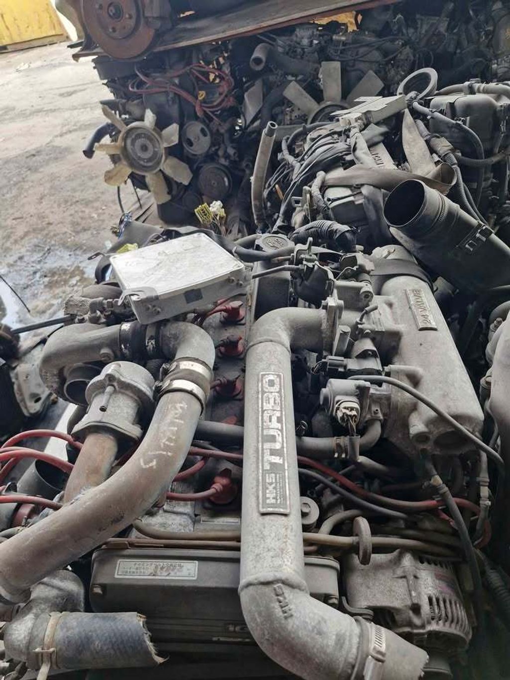 584431026_3075403689331094_9771420534588519_n