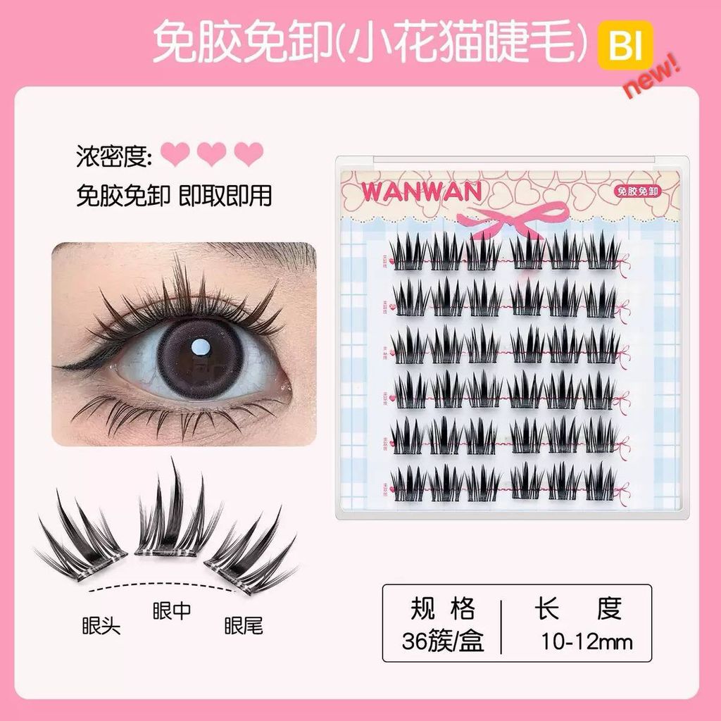 photo_6302985591058009793_y