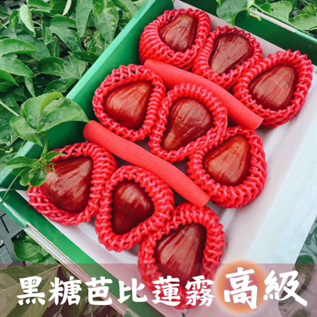 芭比(高級)