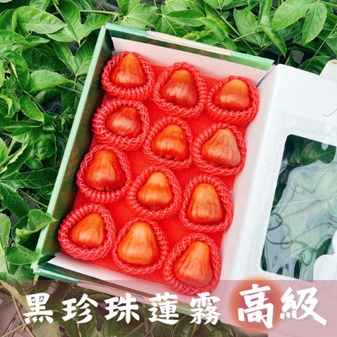 黑珍珠3