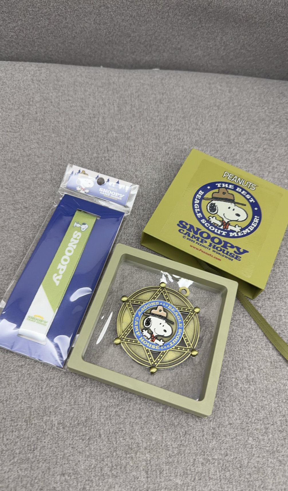 Snipaste_2025-11-14_01-21-58