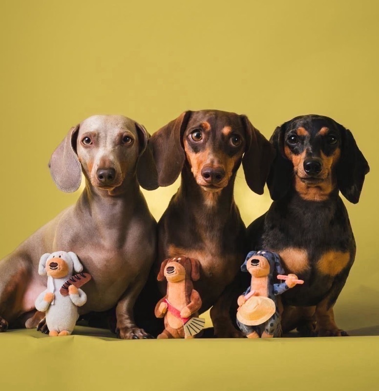 0A93A39D-CD5C-42E4-BDB2-A498853AD8FB