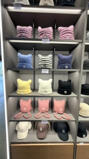 1BDE5477-2C96-4E65-A0B6-6CD967D65AF2_4_5005_c