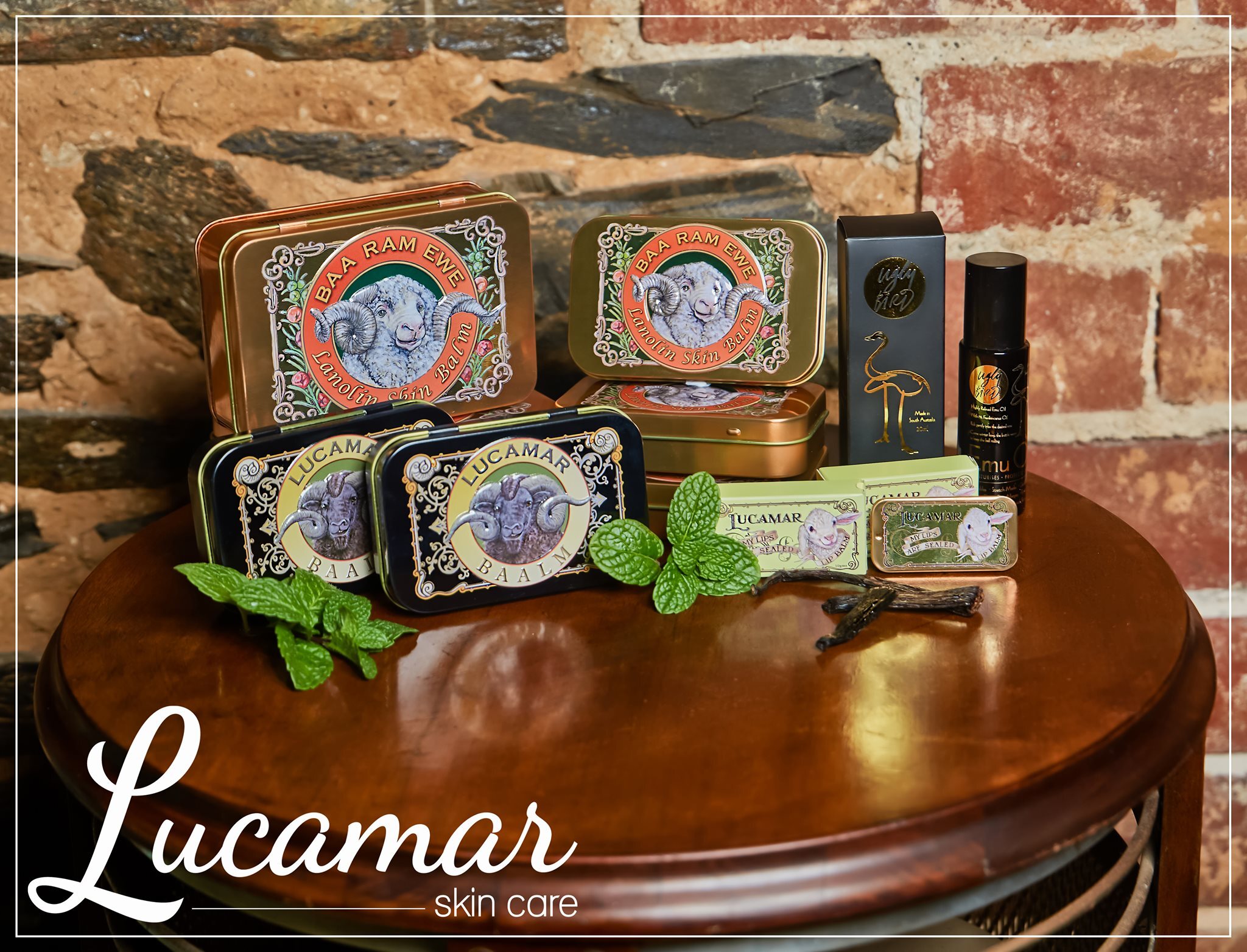 474185443_1016643003816562_7133935579194598426_n