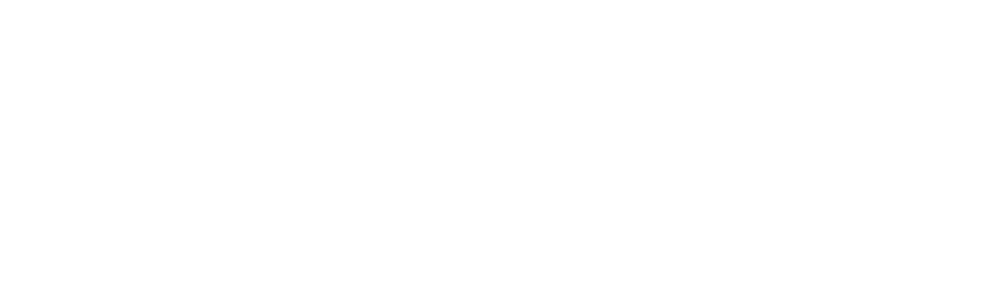 NOVOICE 諾維斯
