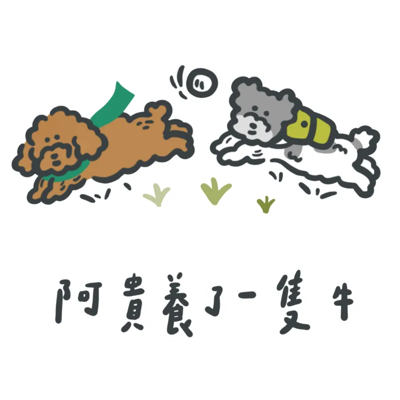 阿貴養了一隻牛