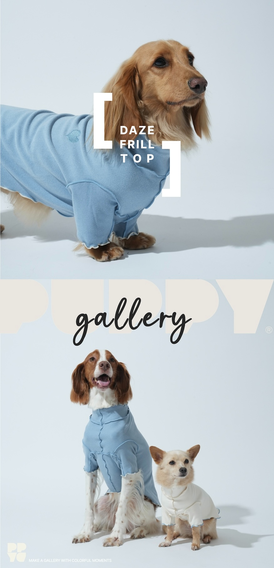 3074f09f-0fbd-42d5-8f71-c6f9739ce4b6