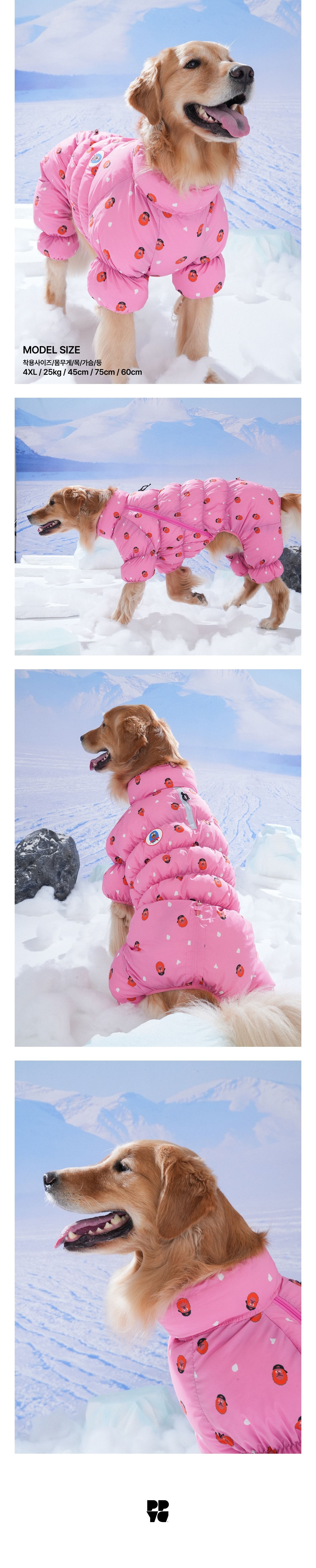 imgi_22_1761629290_279706