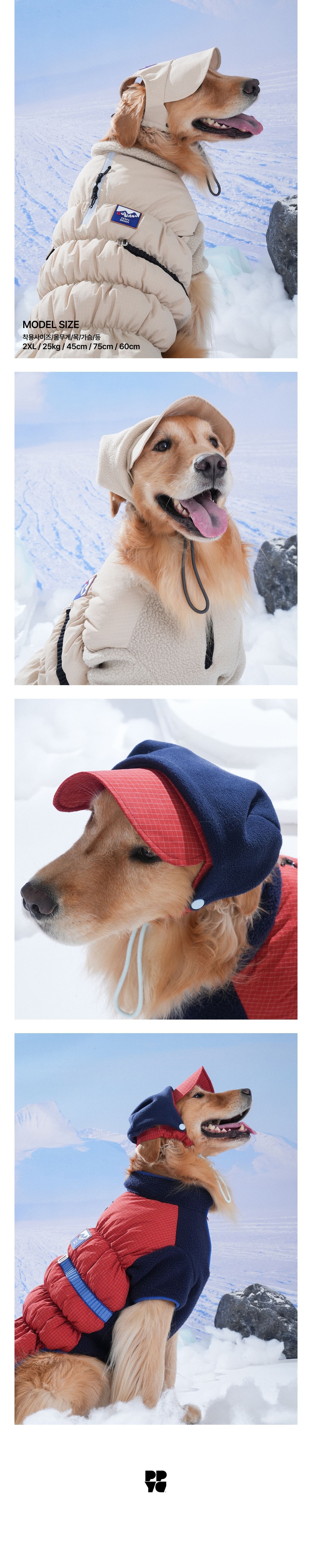 imgi_21_1761107557_986666