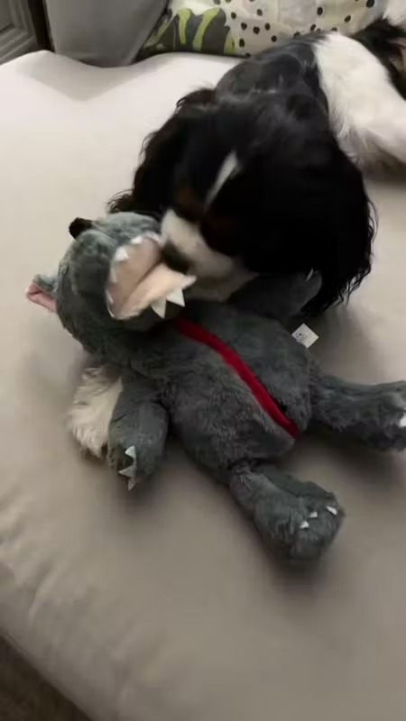 imgi_21_1753860270__0__kxW0JBT___4808edf9827d49daab52be6a2b59603a_1752548320_tplv-noop__original