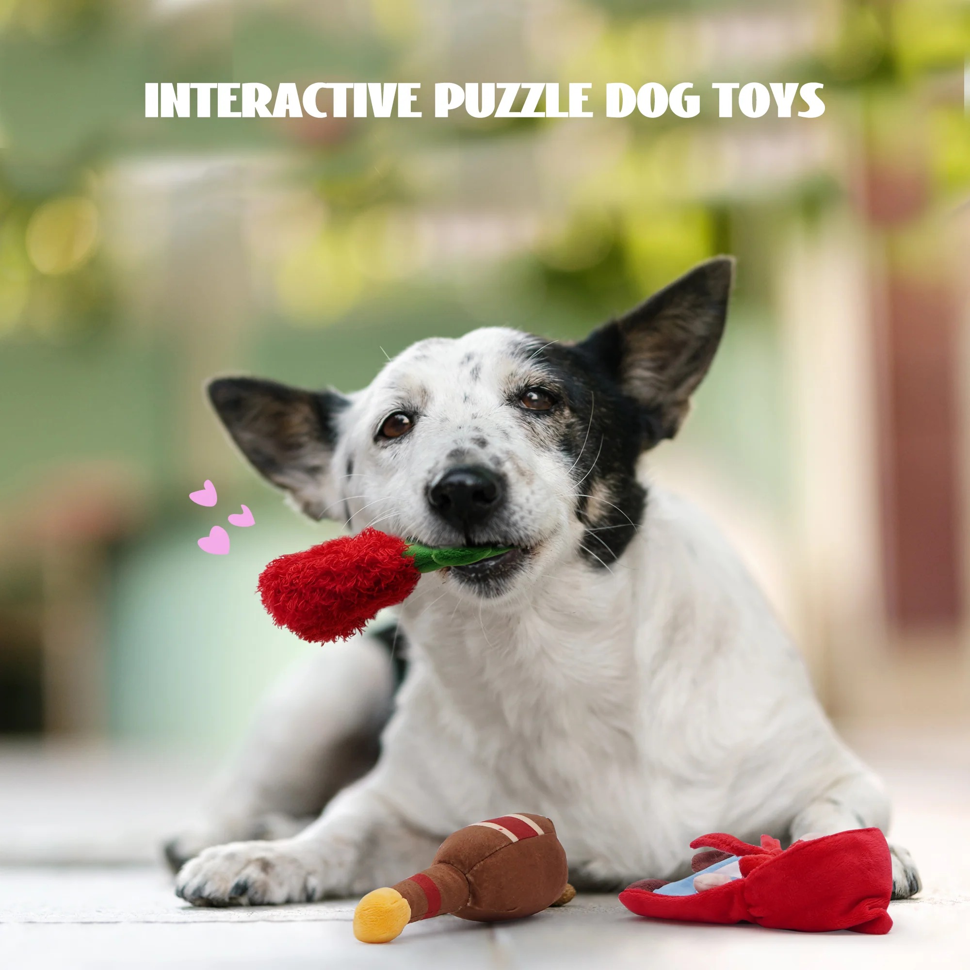 imgi_4_5_26c5d082-21ea-4495-b998-26fff4099714