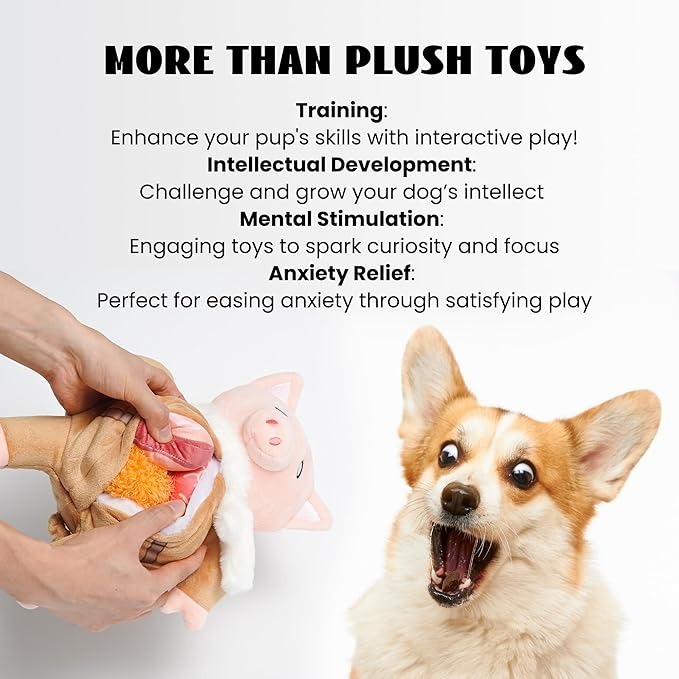 imgi_7_71fORydrfwL._AC_SX679