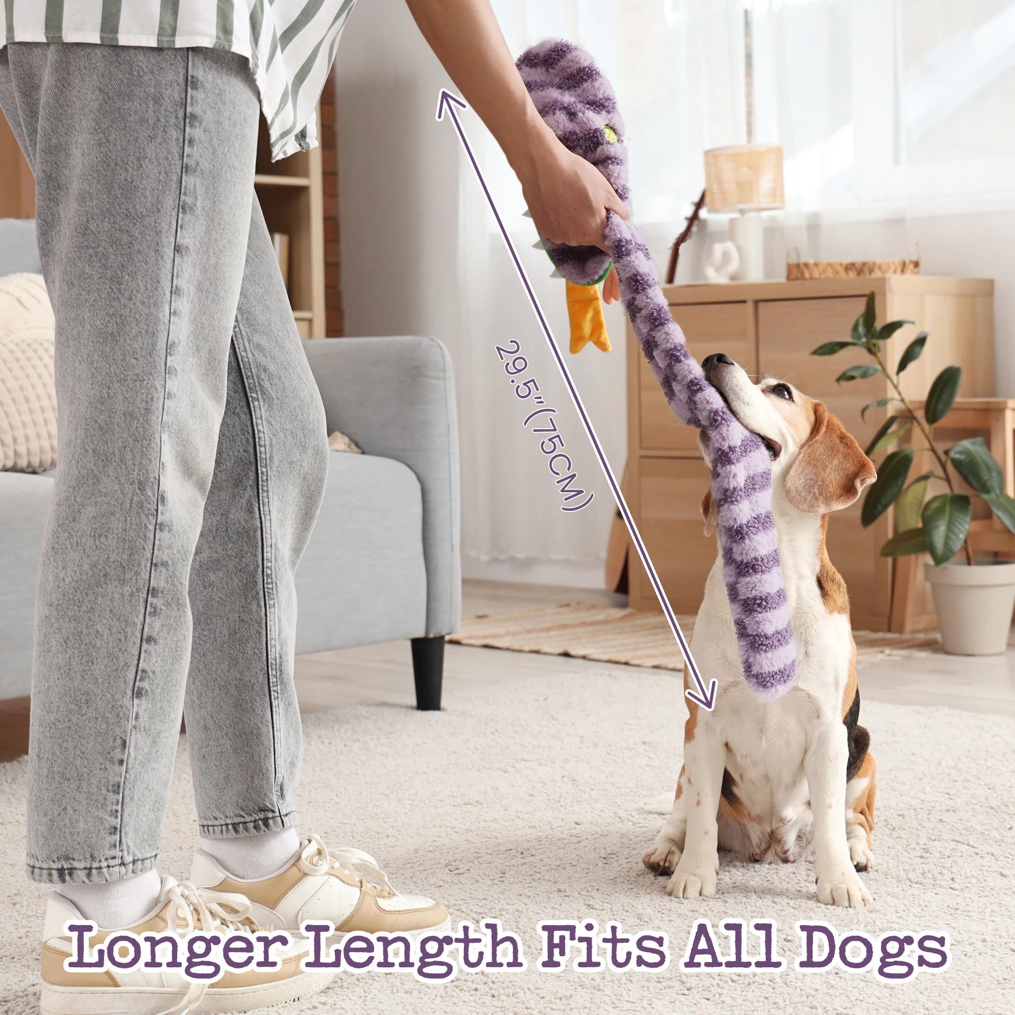 imgi_6_6_929ee471-2e66-47c8-bb0b-7dbea865d4c7