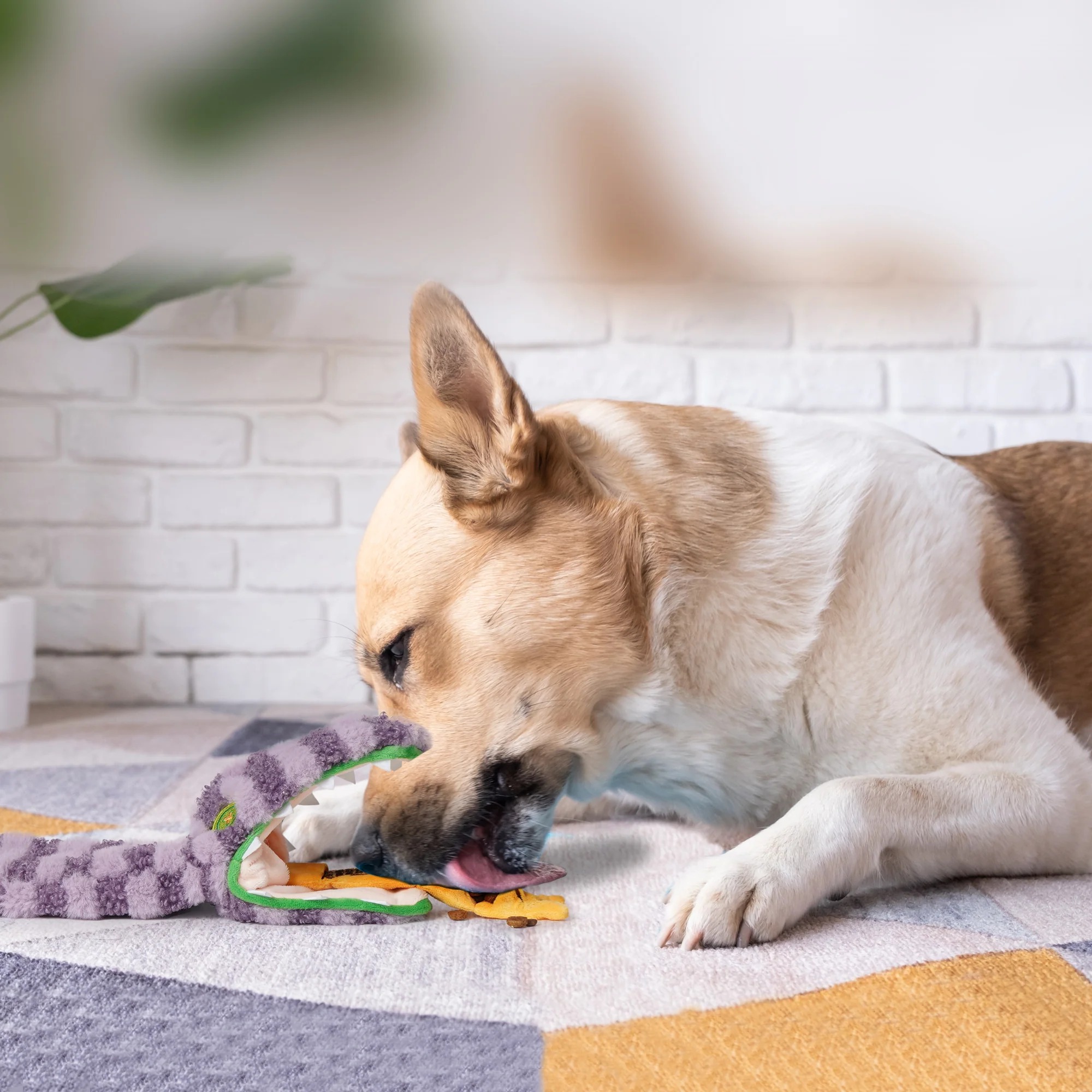 imgi_7_7_045eed28-ade6-4cae-92c7-5f2cf9373b5e