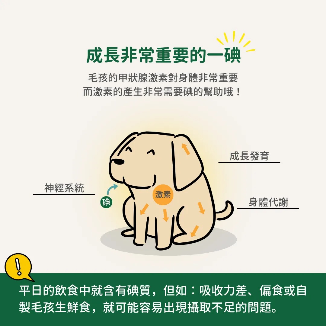 imgi_17_海藻營養粉04