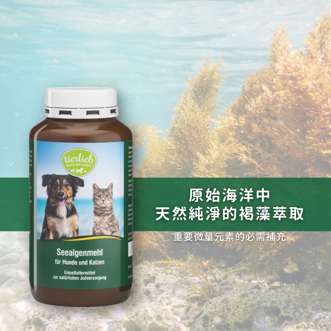 imgi_16_海藻營養粉03