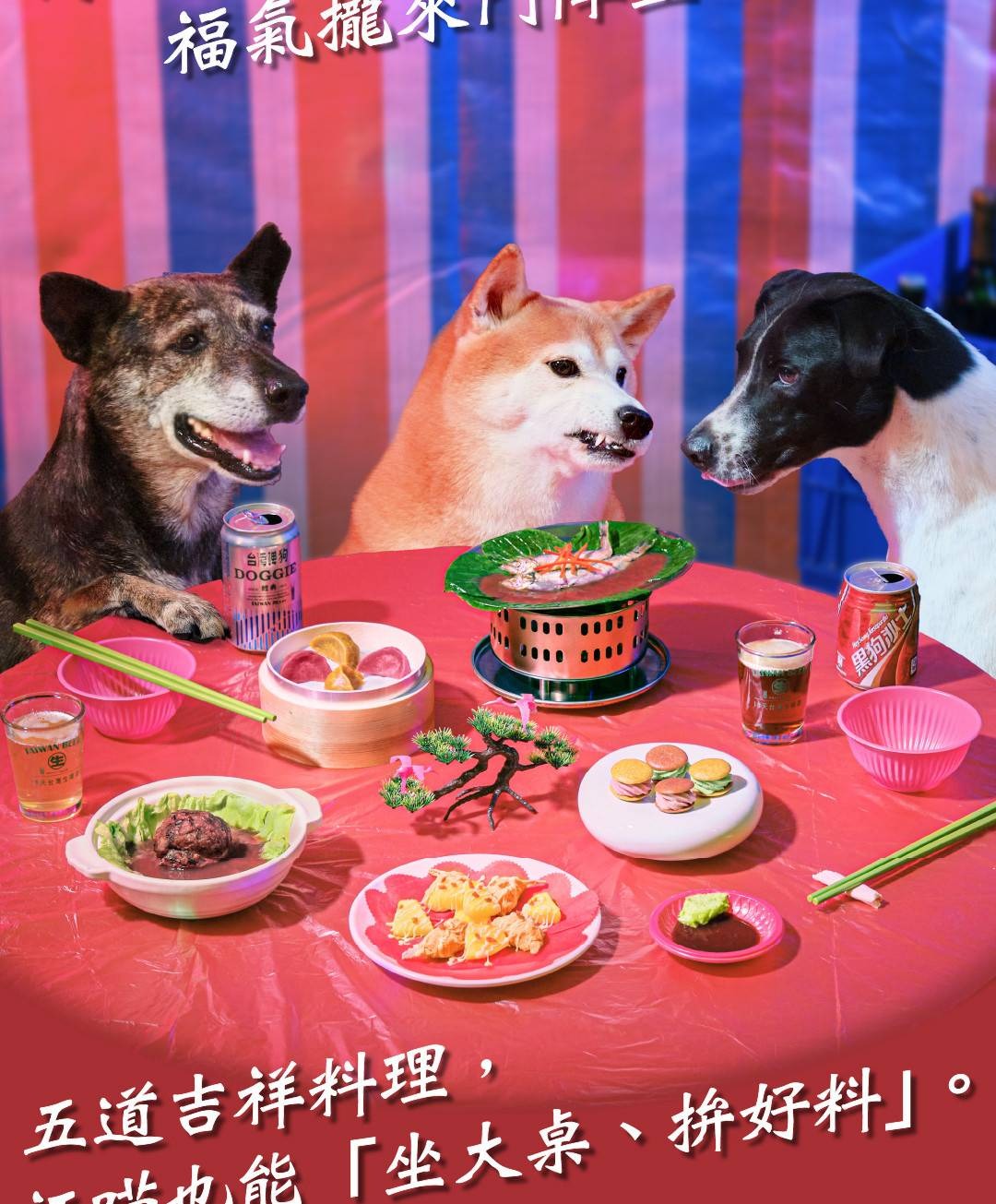 imgi_24_01553c466b06250a1439b09276bba889 (1)