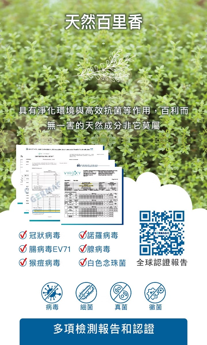 imgi_5_content_31dedc97-d2fd-40e5-9d49-40070dd4e50d