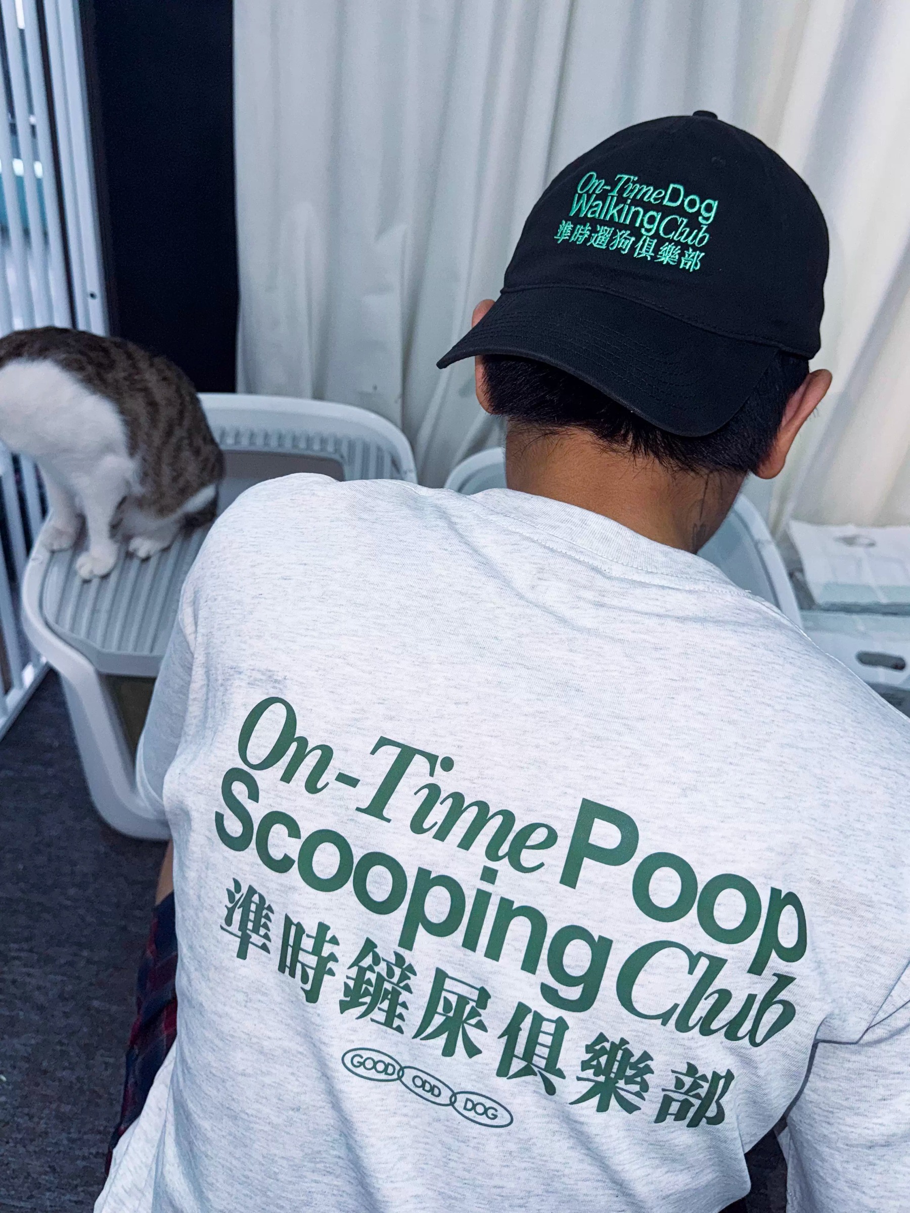 imgi_9_O1CN01IM35AG24qUbKxR3pm_!!2219684747442.jpg_